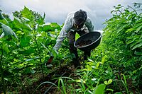 Organic Farming & Natural Farming Scheme Support