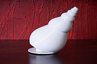 Idhah Conch Shell Table Lamp