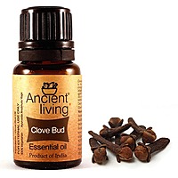 Ancient Living Clove Bud Essential Oil - 10 ml