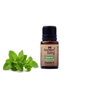 Ancient Living Peppermint Essential Oil - 10 ml