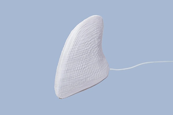 Idhah Albino Clam Table Lamp