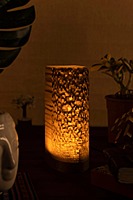 Idhah Draco Lamina Table Lamp
