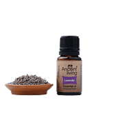 Ancient Living Lavender Essential Oil - 10 ml