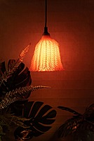 Idhah Tangerine Rogue Pendant Lamp