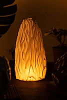 Idhah Untouched Coral Table Lamp