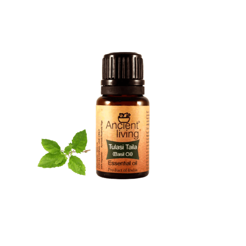Ancient Living Basil Essential Oil - 10 ml