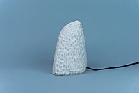 Idhah Coral Alive Table Lamp