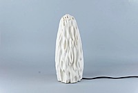 Idhah Untouched Coral Table Lamp