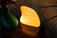 Idhah Albino Clam Table Lamp