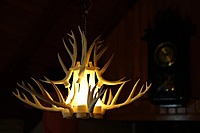 Idhah Antler’s Chandelier