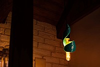 Idhah Whirlpool Burrow Pendant Lamp