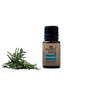 Ancient Living Rosemary Essential Oil - 10 ml