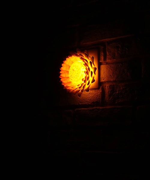 Idhah Eclectic Daisies Wall Lamp