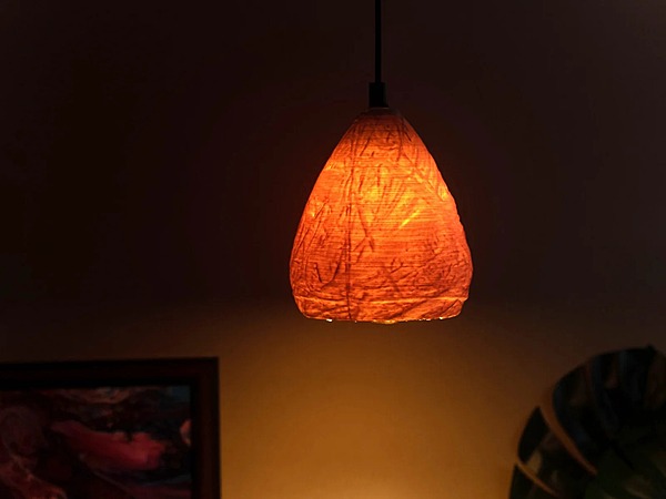 Idhah Weaver’s Eyrie Pendant Lamp