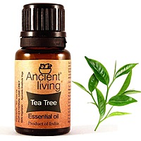 Ancient Living Tea Tree Essential Oil - 10 ml