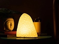 Idhah Coral Alive Table Lamp
