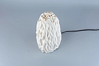 Idhah Untouched Coral Table Lamp