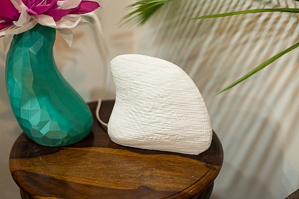 Idhah Albino Clam Table Lamp