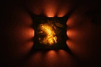 Idhah Cave Radiance Wall Lamp
