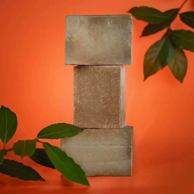Gentle Herbal Hair Cleanser