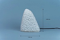 Idhah Coral Alive Table Lamp