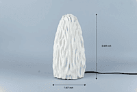 Idhah Untouched Coral Table Lamp