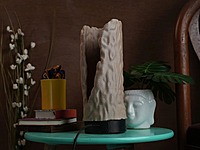 Idhah Fissured Timber Table Lamp