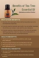 Ancient Living Tea Tree Essential Oil - 10 ml