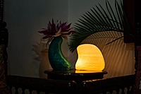 Idhah Albino Clam Table Lamp
