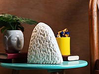 Idhah Coral Alive Table Lamp