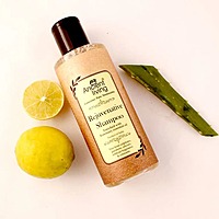 Ancient Living Rejuvenative Shampoo
