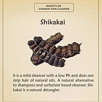 Ancient Living Shikakai Hair Cleanser - Jar - 100 gm