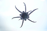Idhah Antler’s Chandelier