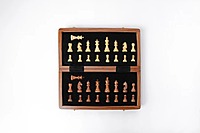 Chess Board Folding – 12-Inch Foldable Wooden Set with Magnetic Coins | Premium Travel Chess Game