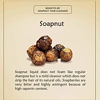 Ancient Living Soapnut Hair Cleanser - Jar - 100 gm