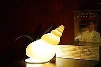 Idhah Conch Shell Table Lamp