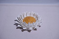 Idhah Eclectic Daisies Wall Lamp