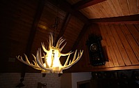 Idhah Antler’s Chandelier