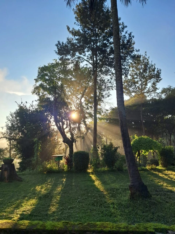 tgt host Homestay at The Giving Tree Engilgere post-.Kodagu South Coorg