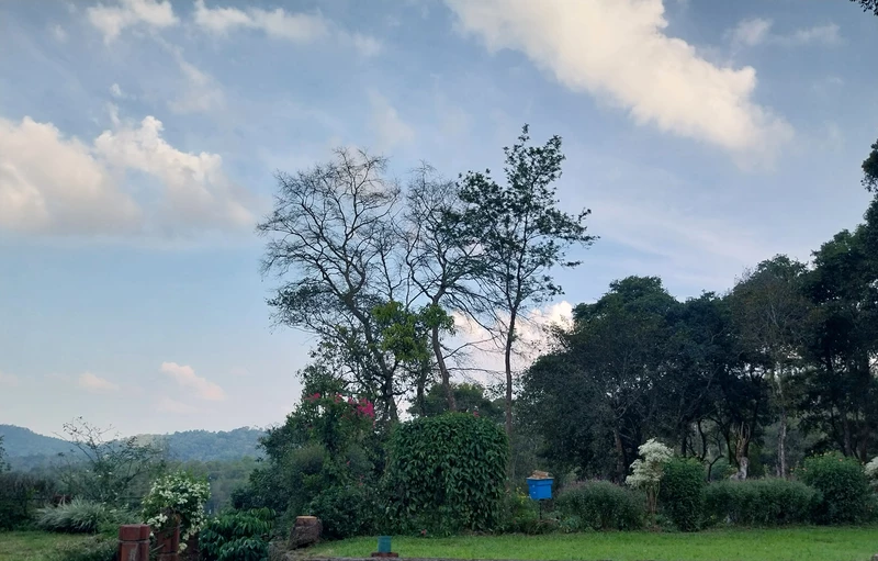 tgt host Homestay at The Giving Tree Engilgere post-.Kodagu South Coorg