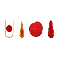 Red Sandalwood (Lal Rakta Chandan) Pieces – 100% Natural Pooja & Hawan Item