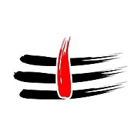 Red Sandalwood (Lal Rakta Chandan) Pieces – 100% Natural Pooja & Hawan Item