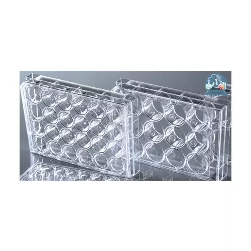 Insect Rearing Cells 7x1 LS01-1