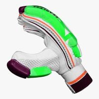 Cricket Batting Gloves DSC INTENSE ATTITUDE Cricket Batting Gloves DSC INTENSE ATTITUDE