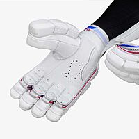 CRICKET BATTING GLOVES DSC CRICKET BATTING GLOVES DSC