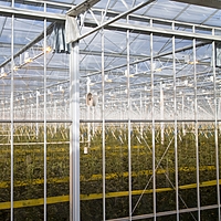 Polyhouse GI Structure Fabrication & Erection