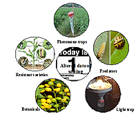 Horticulture Pest Management Service