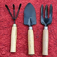Mini Tool Set of 3 Gardening Hand Tool Kit for Home Gardening with wooden handle (Trowel, Hand Fork, Cultivator)