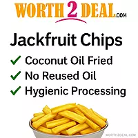 Worth2Deal Kerala Special Jackfruit Chips 500g – Coconut Oil Fried Chakka Varuthathu brand trust