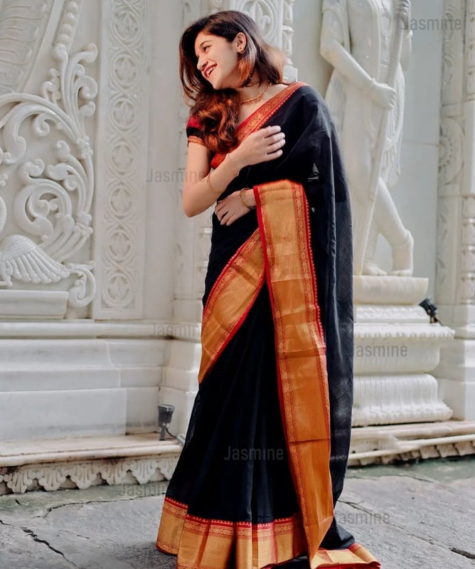 Vibhuti ( Authentic Narayanpet Handloom )